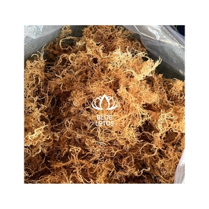 Boîtes de mousse d'Irlande séchée DISPONIBLES pour les niches de vente au détail spécialisées et à utiliser comme combustible énergétique délicieux et riche en énergie - Product Image 1