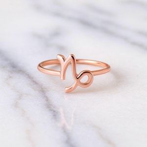 Bague du signe du Capricorne en argent sterling 925 plaqué or rose 14 carats, faite à la main, signe du zodiaque, bande réglable, minimaliste, astrologie - Product Image 3