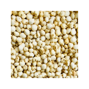 ข้าวฟ่างบริสุทธิ์ขายส่งจำนวนมากในราคาของตลาดต่างประเทศ - Product Image 4