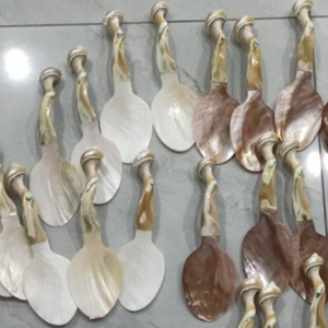 Exportación de cuchara de concha de Vietnam | Cucharas de nácar Premium, hechas a mano, OEM/ODM aceptado - Product Image 1