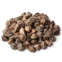 Graines de Moringa Naturelles de Qualité Supérieure