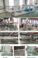 Nouvelle ligne de production de miettes de pain soufflées Panko multifonctionnelle Machine à chapelure