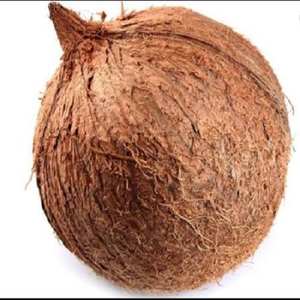 Premium Whole Dried <b>Coconut</b> with Natural <b>Husk</b> for Bulk Wholesale Supply and Food Industry Use| Ms Jessi - Product Image 1