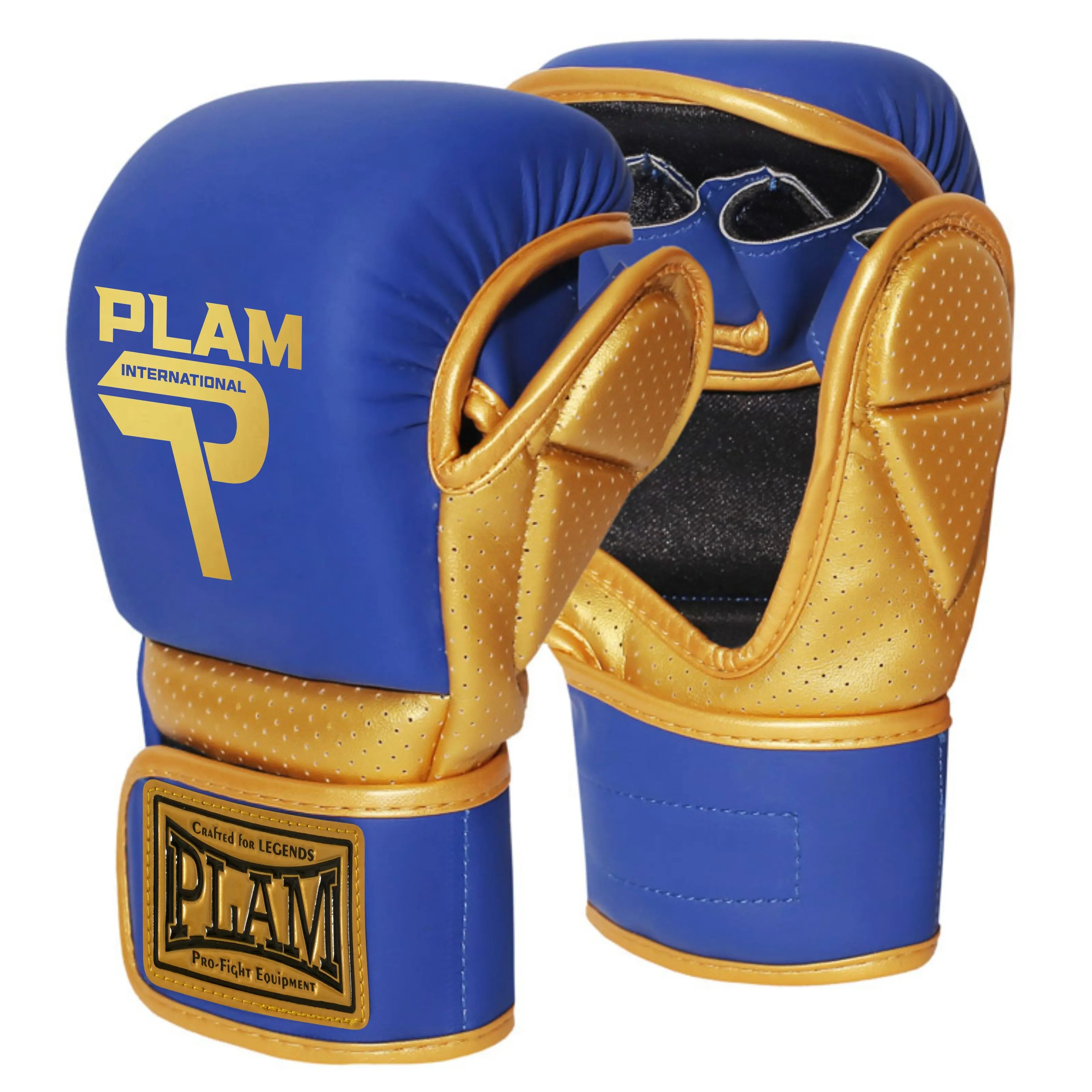 Gants MMA Sparing