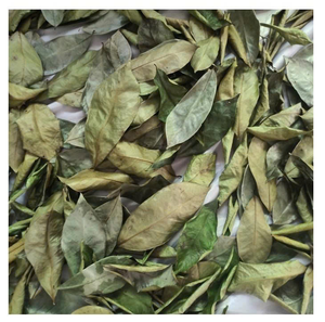 Dried Soursop Leaves Intact Whole Leaves In Zipper Packaging - Product Image 1