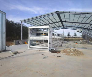 Séchoir à air à bande pour fumier de volaille et de vache avec pompe, boîte de vitesses et moteur pour la production d'engrais - Product Image 3