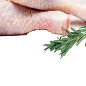 Palillo de pollo Halal congelado fresco del proveedor superior para la venta - Product Image 3