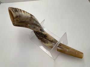 Corne de Choréphore en Mouton Naturel Poli - Décoration Religieuse Écologique de Haute Qualité pour la Maison - Product Image 3