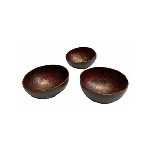 Bol en noix de coco Huong Dang fabriqué au Vietnam, taille personnalisée, écologique, style vintage pour la décoration alimentaire 28 - Product Image 6