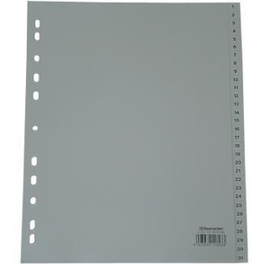 Soennecken Extra Wide DIN A4 Number Register 1-31 Polypropylene Grey Letter Holder - Product Image 1