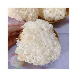 Champignons de neige blancs séchés, tremella, matière première utilisée pour les recettes de desserts, les repas asiatiques et la production alimentaire, provenant du Vietnam - Product Image 1