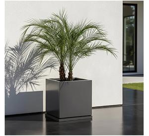 Maceta Metálica Cuadrada Gris de 17 Pulgadas con Bandeja de Goteo - Product Image 1