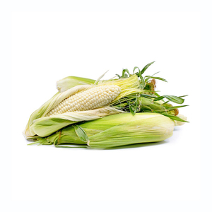 Oferta al por mayor de maíz blanco premium listo para distribución a granel - Product Image 3