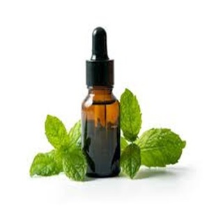 Huile de menthe poivrée biologique naturelle pure à vendre à des prix raisonnables pour l'exportation dans le monde entier - Product Image 4