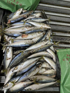 Filete de caballa congelado Iqf sin piel y sin hueso No se necesita preparación Ahorre tiempo en la cocina Cocine rápido - Product Image 4