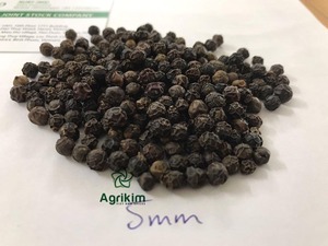 Muestras gratis de alta calidad Pimienta negra 500-580G/L El mejor jengibre fresco Clavos de azafrán Cardamomo Salvia Chile Pimienta Semilla de sésamo - Product Image 4