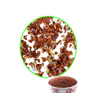 Berro | Hierba botánica pura con alto contenido de nutrientes - Product Image 1