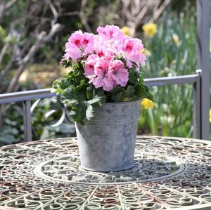 Vintage Galvanized <b>Metal</b> Garden <b>Planters</b> Tubs Pots Containers <b>Outdoor</b> Home Decor <b>Planters</b> <b>Metal</b> Flower Pots <b>Planters</b> For Garden - Product Image 5
