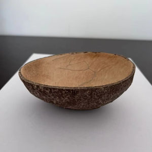 Cuenco de cáscara de coco ovalado de 150ml ecológico hecho a mano Natural, plato de servicio desechable semipulido para uso en cocina y restaurante - Product Image 1