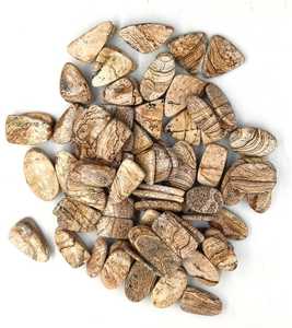 Par de cabujones sueltos de jaspe con imagen natural 100% hechos a mano, tamaño personalizado disponible, lote al por mayor, fabricación de joyas de gemas Ibrahim - Product Image 3