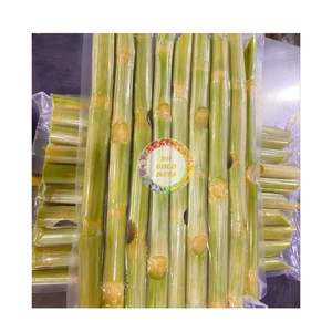 Vente en gros de canne à sucre congelée fraîche Peel/unpeel bâton de canne à sucre pour jus froid fabriqué au Vietnam - Product Image 2