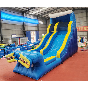 สไลเดอร์น้ำเป่าลมแบบคู่ปรับแต่งได้สำหรับขายส่ง ทำจาก PVC คุณภาพดี เหมาะสำหรับเด็กและผู้ใหญ่ ใช้เล่นกลางแจ้งในสวนหลังบ้าน - Product Image 2