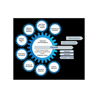 Dernière arrivée services logiciels de paie avec fonction personnalisée et services logiciels conçus à bas prix