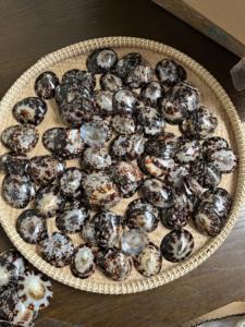 VietChoice ofrece conchas de Lapa pulidas personalizadas 100% artesanías naturales a un precio al por mayor barato directo del fabricante de Vietnam - Product Image 3