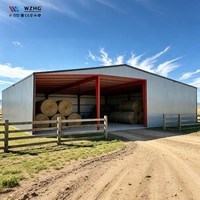 Nave de Almacenamiento de Heno Personalizada, Cobertizo, Almacén, Estructura de Acero Prefabricada, Edificio Agrícola de Bajo Costo, Edificio Metálico de Almacenamiento