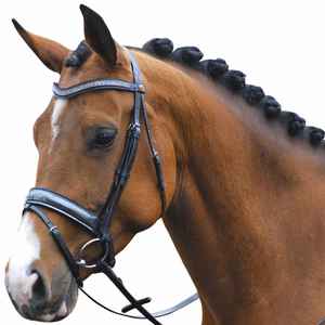 FABRICANT Cheval Bride Inde Top Qualité Prix abordable Cuir Cheval Bride FABRICANT Cheval Bride Inde Top - Product Image 4