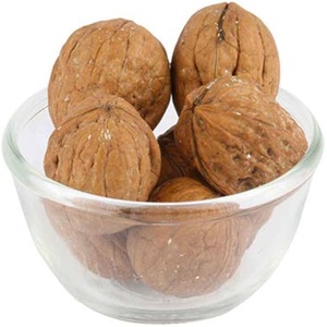 Approvisionnement en vrac de noix biologiques Vente en gros de noix entières fraîches Meilleur prix Expédition rapide Acheter maintenant! - Product Image 1