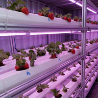 Système de culture hydroponique vertical intelligent pour serres de fraises, équipement agricole commercial