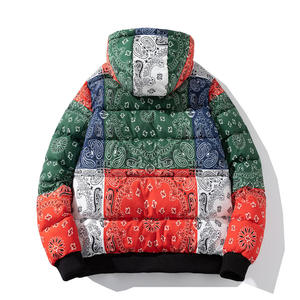 Custom Logo Stylish Puffer <b>Jacket</b> <b>Lightweight</b> Canvas New Design Print Winter Warm Stand Collar Fashionable Outdoor Overcoat Hood - Product Image 4