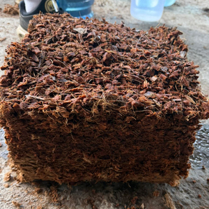 Copeaux de coque de noix de coco 10C 5kg |   Milieu de culture naturel pour orchidées |   Copeaux de coco lavés à faible teneur en EC pour l'hydroponie et le mélange de terreau - Product Image 3