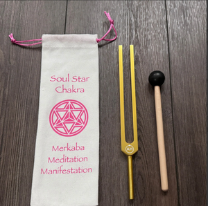 Diapasón de Aluminio de Alta Calidad Fabricado por MARS (Peso Pesado) / Diapasón de Aluminio.. - Product Image 1