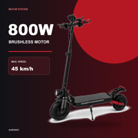 Trottinette électrique pliable en alliage d'aluminium 800W, batterie lithium 48V 10Ah, pneus de 11 pouces, éclairage d'ambiance sur le plancher, vitesse maximale de 45 km/h, autonomie de 30 km