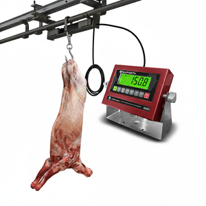 Balance statique monorail aérienne, système de pesage robuste monté sur rail pour abattoir et usage industriel - Product Image 2