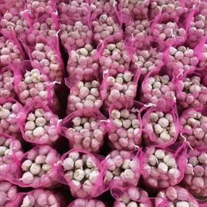 Ail blanc frais de qualité supérieure, récolte 2026, 5 cm, prix avantageux, vente en gros, meilleure vente, exportation - Product Image 3