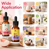 Privélabel Populaire Geur Zoete Aardbei Geurolie voor Kaarsen, Diffusers, Badzout en Zeepmaken