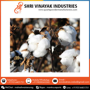 Algodón puro orgánico sin procesar, 100% algodón, importado de la India - Product Image 6