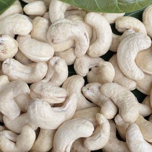 Wholesale Price of Raw Dried Cashew <b>Nuts</b> W180 Commercial Quality Santigo Vietnam Factory OEM ODM Packaging - Product Image 1