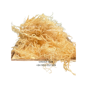 Irish Seamoss <b>Jamaican</b> <b>Sea</b> <b>Moss</b> Goldens <b>Sea</b> <b>Moss</b> High Quality for Export <b>Wholesale</b> Vietnam - Product Image 2