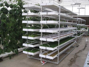 ONEone Barley Green Forage Fodder Grow Trays Hydroponic Fodder System - Product Image 6