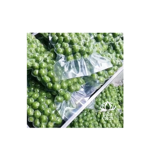 Fruta congelada Dracontomelon congelado Fruta verde IQF Envasado al vacío - Product Image 1
