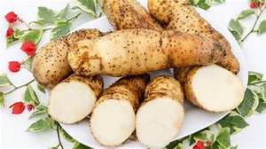 REBANADAS DE RAÍZ DE YAM BLANCO CONGELADO PREMIUM/FUENTE DE PLANTA PURA/SIN ADITIVOS/TECNOLOGÍA DE CONGELACIÓN LIMPIA - Product Image 2