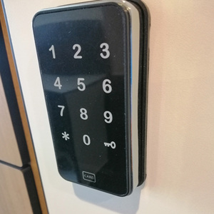 Kẽm hợp kim chất lượng cao điện tử lưu trữ tủ khóa với bàn phím và RFID tủ khóa - Product Image 5