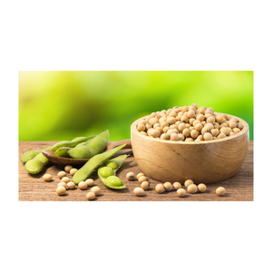 NON GMO <b>Soybean</b> Available for Cheap Price / High Quality <b>Soybean</b>/Premium Quality Non-GMO Yellow SoyaBeans - Product Image 2