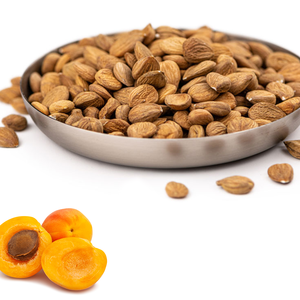 Noyaux d'abricot brut de haute qualité propre et prêt pour l'exportation - Product Image 6