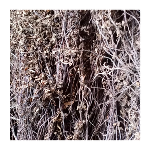 Feuilles de gelée d'herbe noire du Vietnam 100% pures, meilleur prix d'exportation, approvisionnement en vrac disponible - Product Image 4