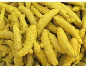 สารสกัดจากขมิ้นชันเกรดพรีเมี่ยมสำหรับรากเครื่องเทศทองคำสารสกัดจากขมิ้นขัดสองชั้น - Product Image 2